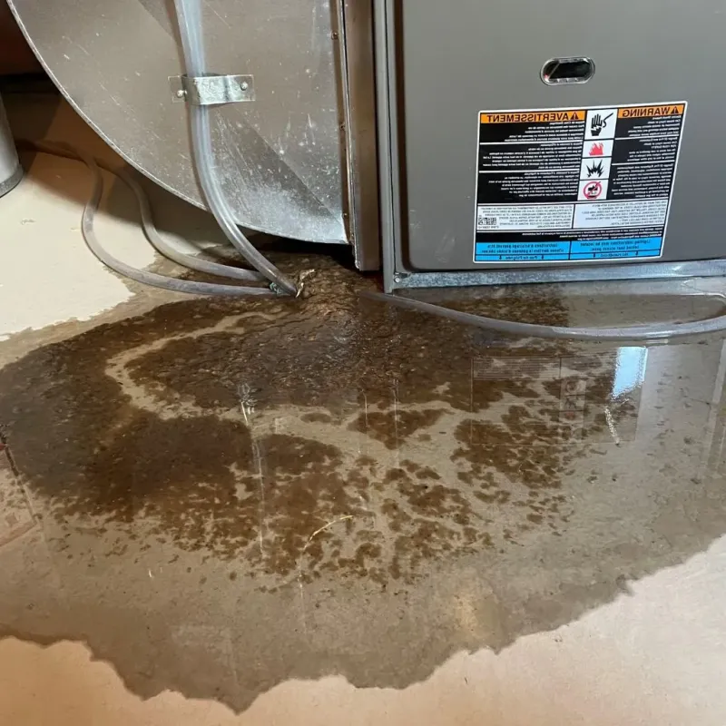 Pipe Burst and Leak Restoration in Northlakes, NC